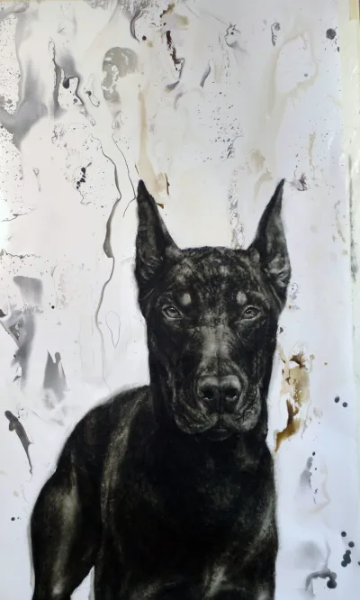 Doberman